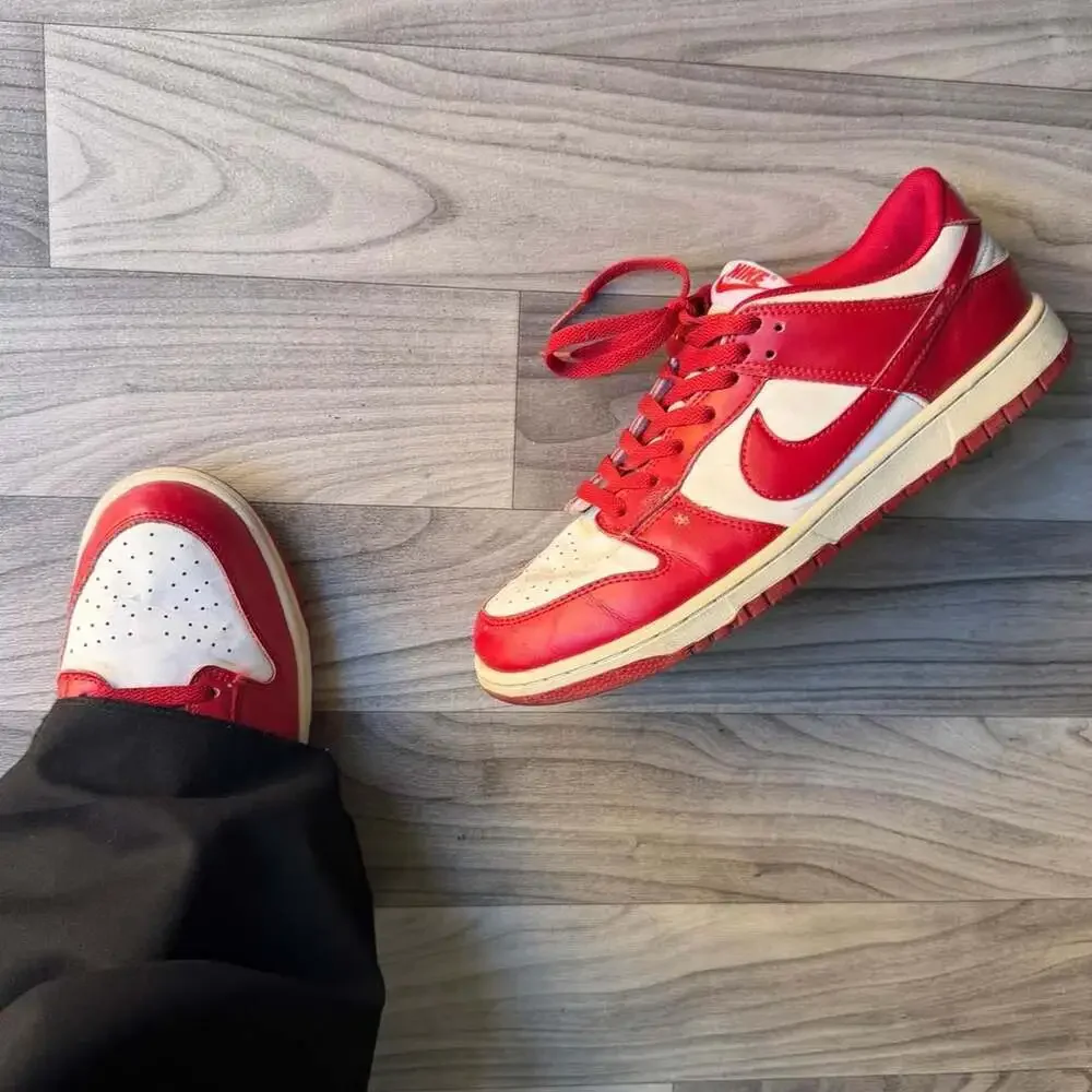 Nike Dunk Low Retro University Red